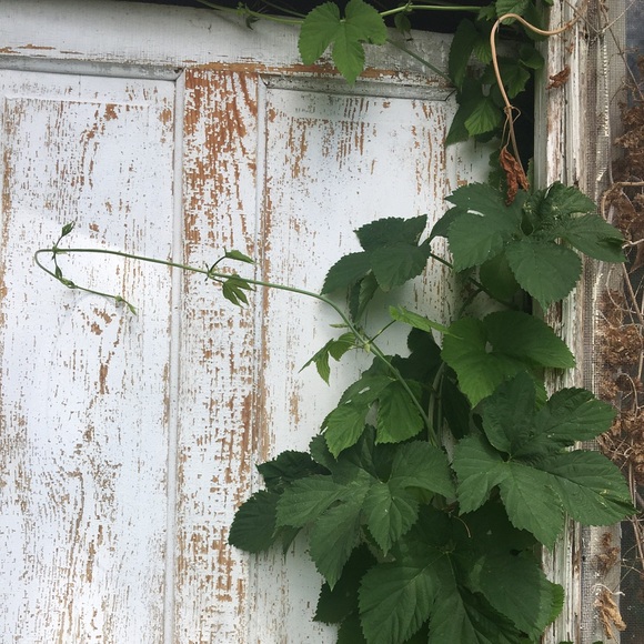 Meet your Posher, Errin - Picture 5 of 5